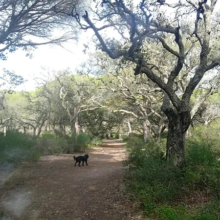 Hotel Casa Pinos Chiclana de la Frontera